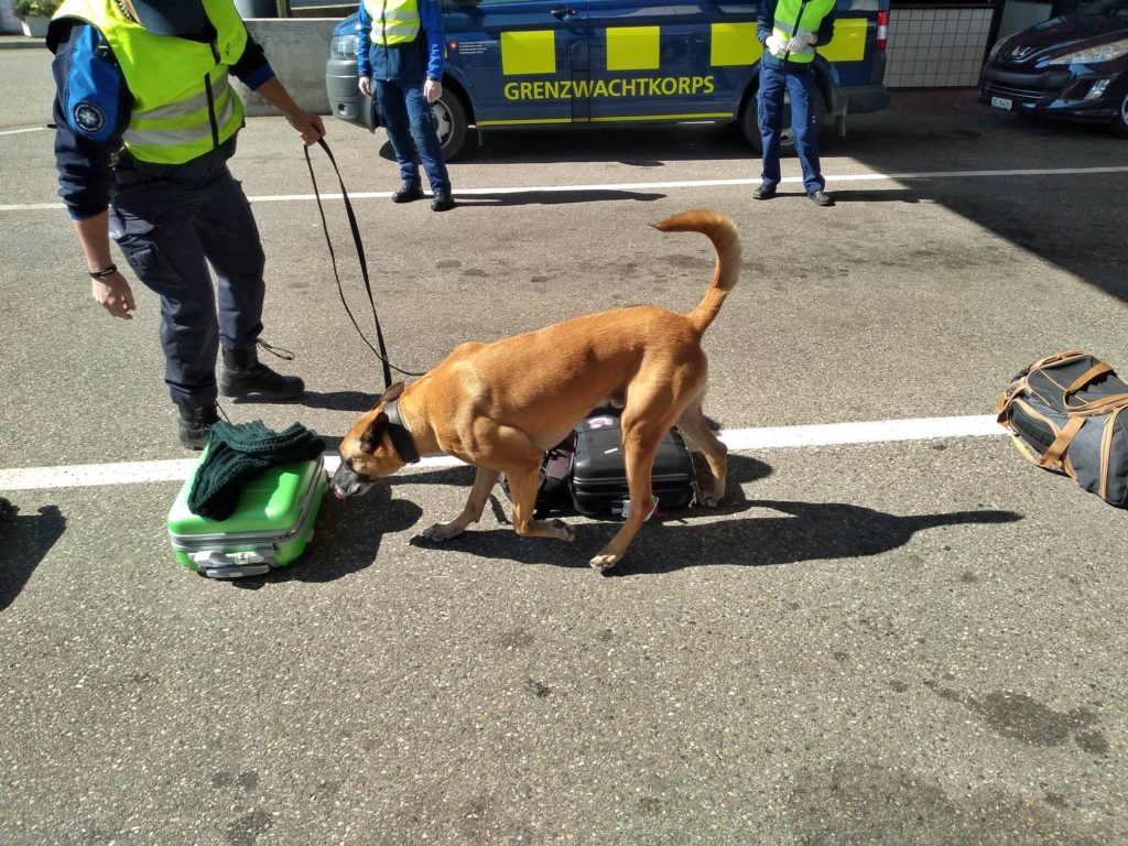 Dobre tripy po Bazylei